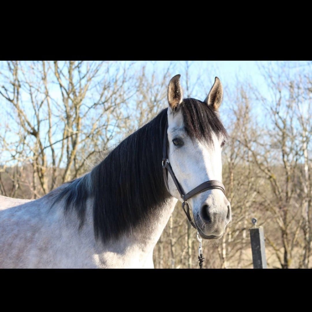 Bild 1 av placeholder text