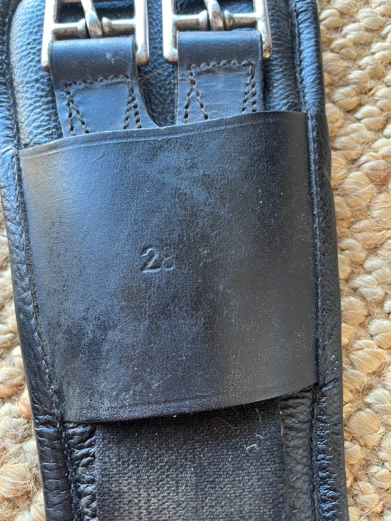 Bild 3 av Svart dressyrgjord