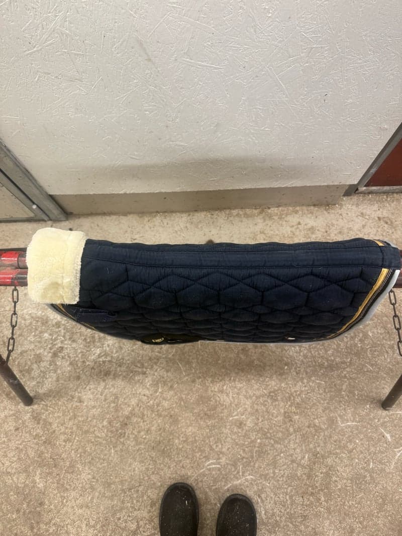 Bild 2 av JULKLAPPSTIPS!🎅 Marinblått dressyrschabrak i strl COB från Trinity