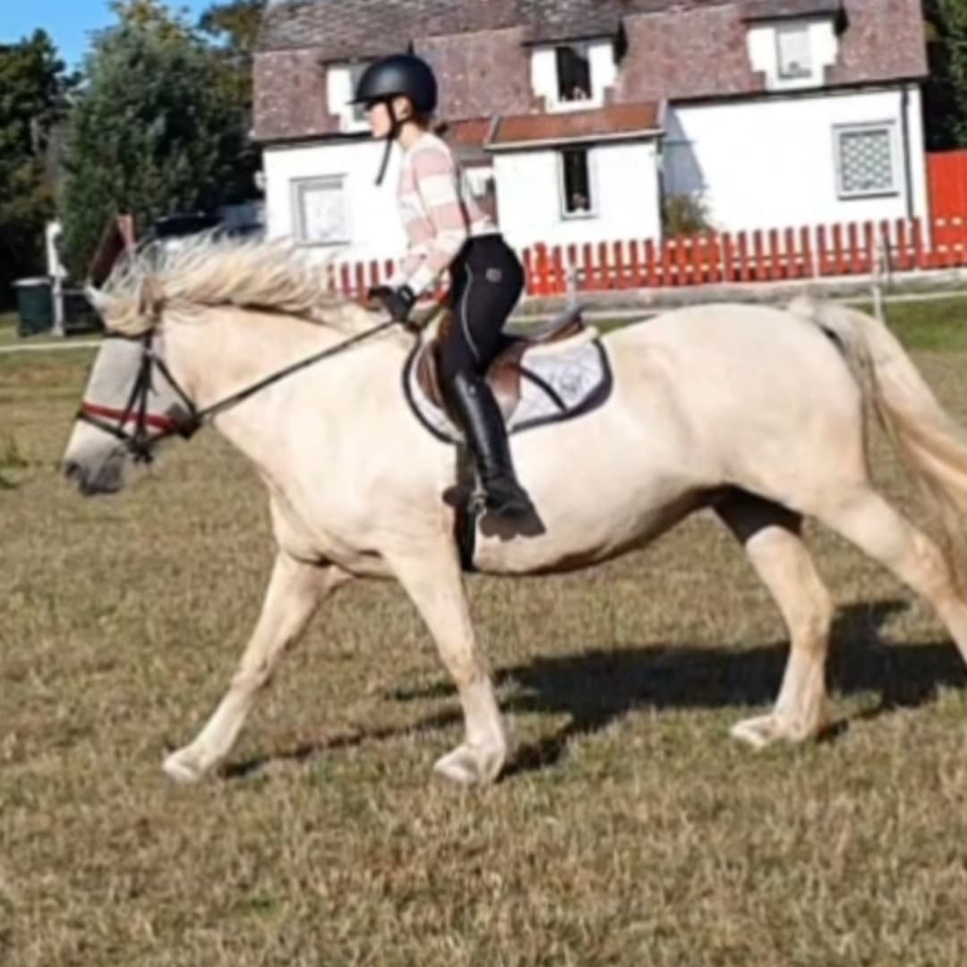 Bild 1 av placeholder text