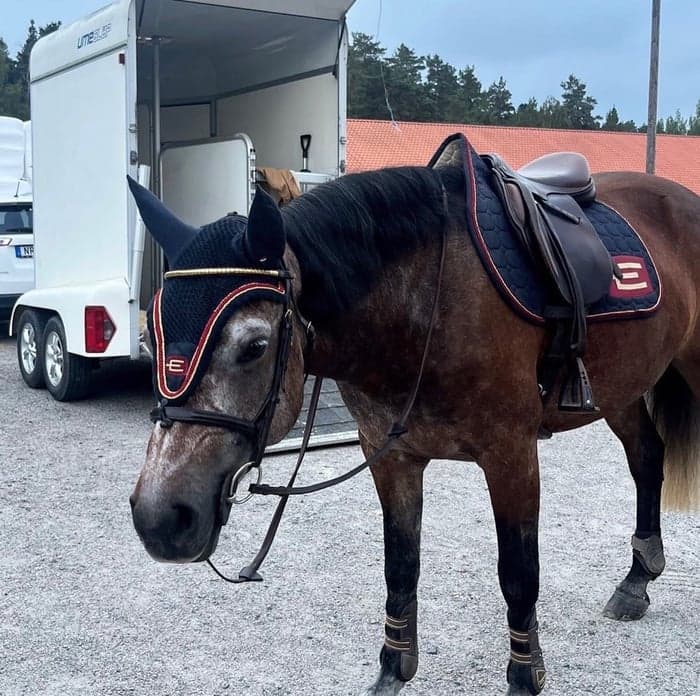 Media 1 av Bastubackens Norah