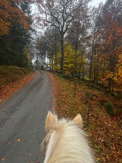 Inlägg 54 av Allround