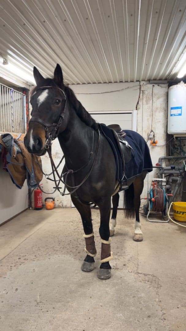 Bild 1 av Shafts Ring of Fire