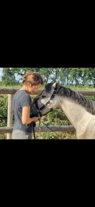 Inlägg 119 av Allround