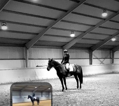 Inlägg 10 av Dressyr med titeln dressyr start med tino i höstas✨💕