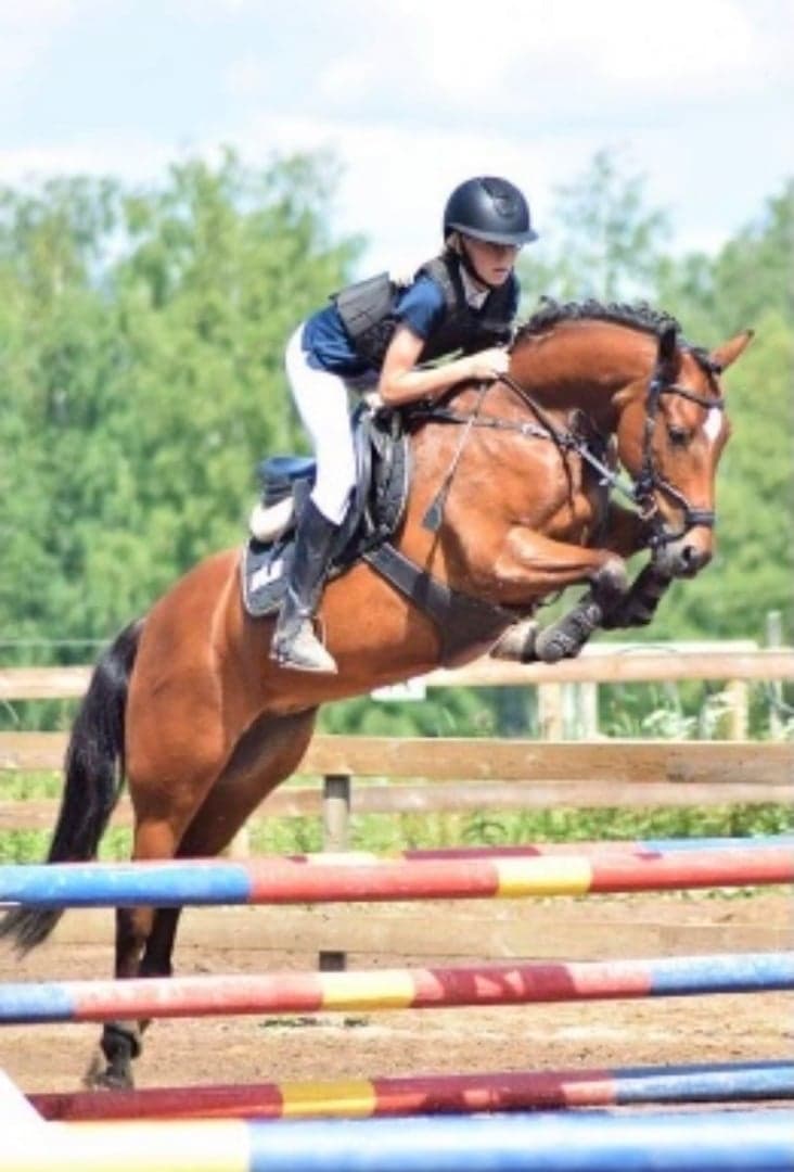 Image 1 of Synfoni KL RNF 2827