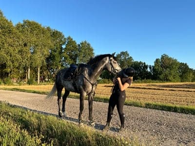 Ninjonaire Samott