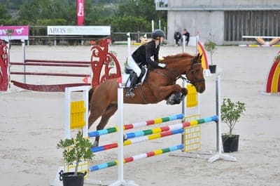 Inlägg 106 av Allround