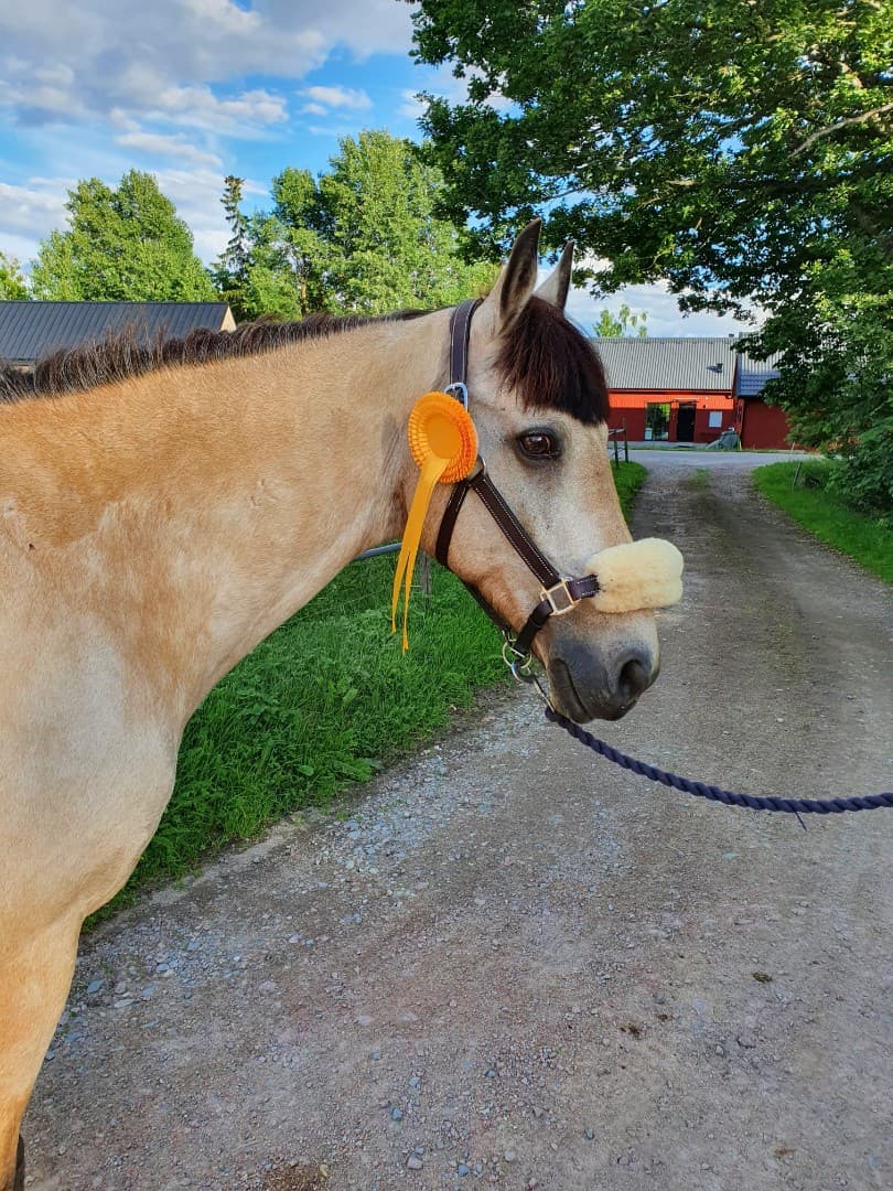 Bild 1 av Dunbeliveable