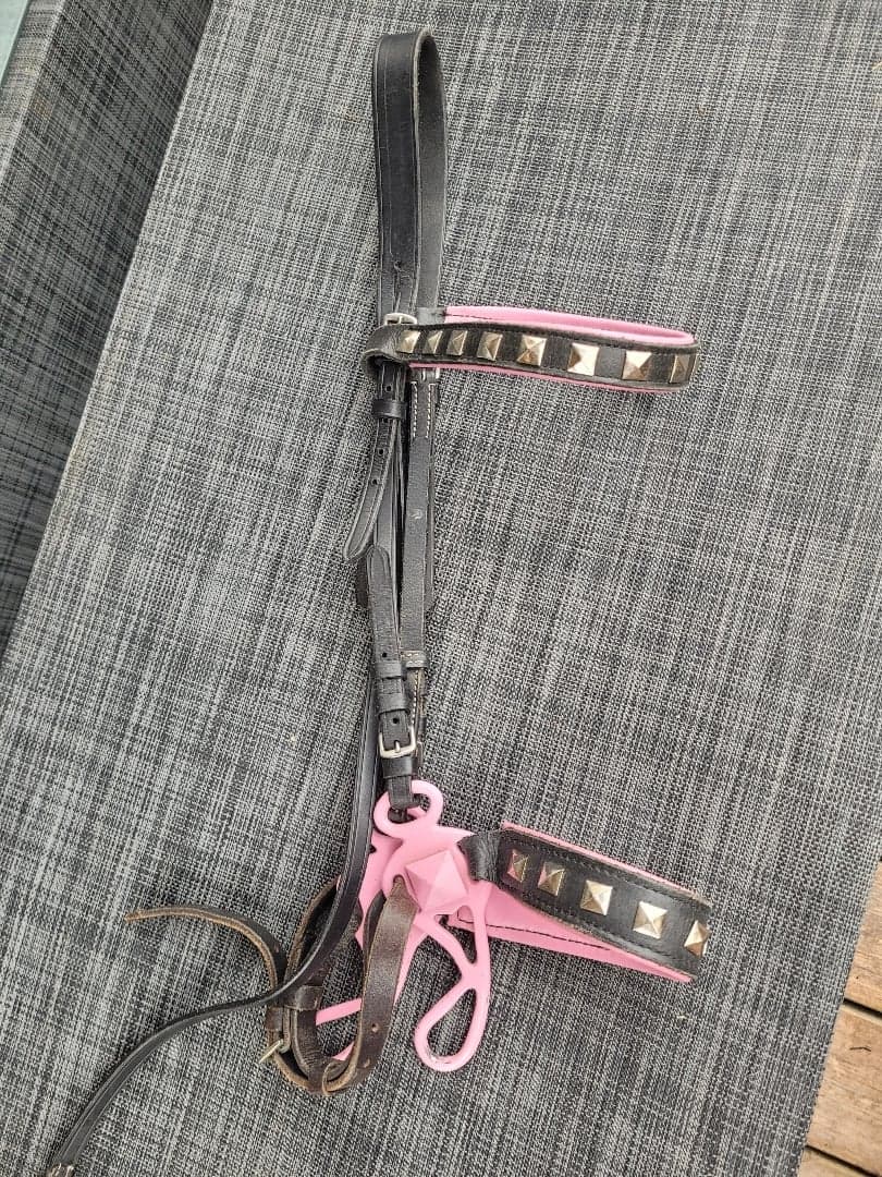 Image 1 of Pink and black hackamore with studs