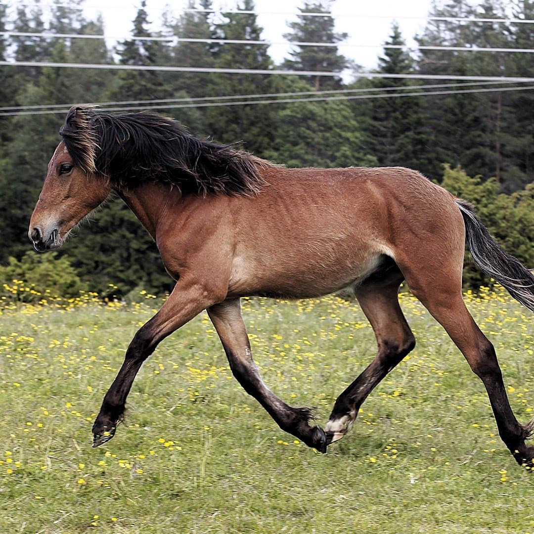 Bild 1 av Min Lilla Huxflux