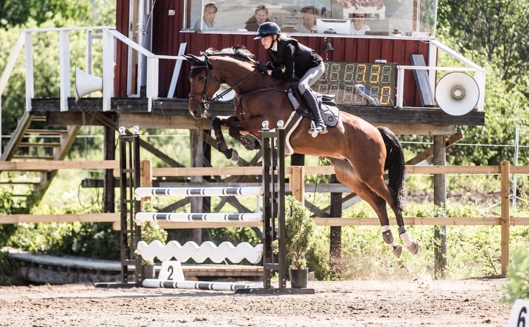 Image 1 of Bollerup Pacific Blue