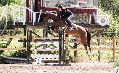 Bollerup Pacific Blue