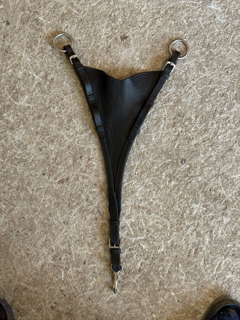 Image 1 of Martingal