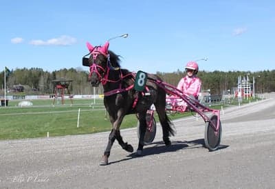 Uppfödning 