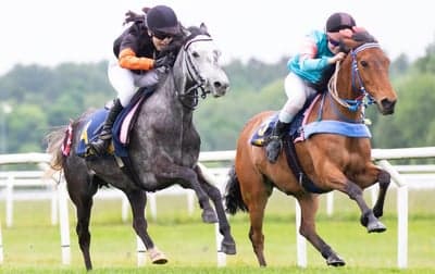 Inlägg 30 av Allround