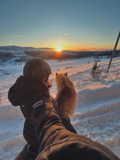 Inlägg 77 av Allround med titeln Solnedgang🌅🤍