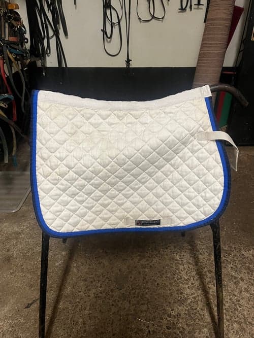 Bild av Vitt schabrak från Kingsland