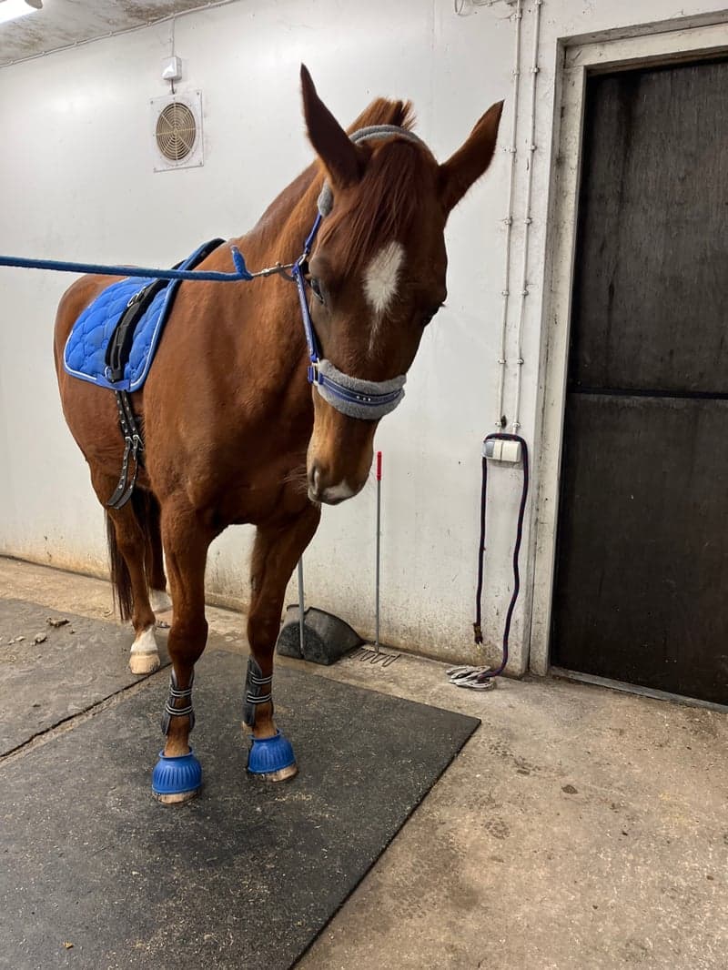 Bild 3 av M.M.Hot For Cash