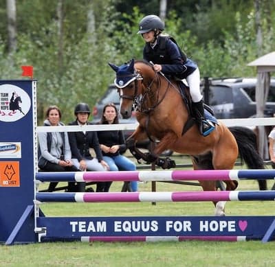 Blokland Hoeves Conviction Boy