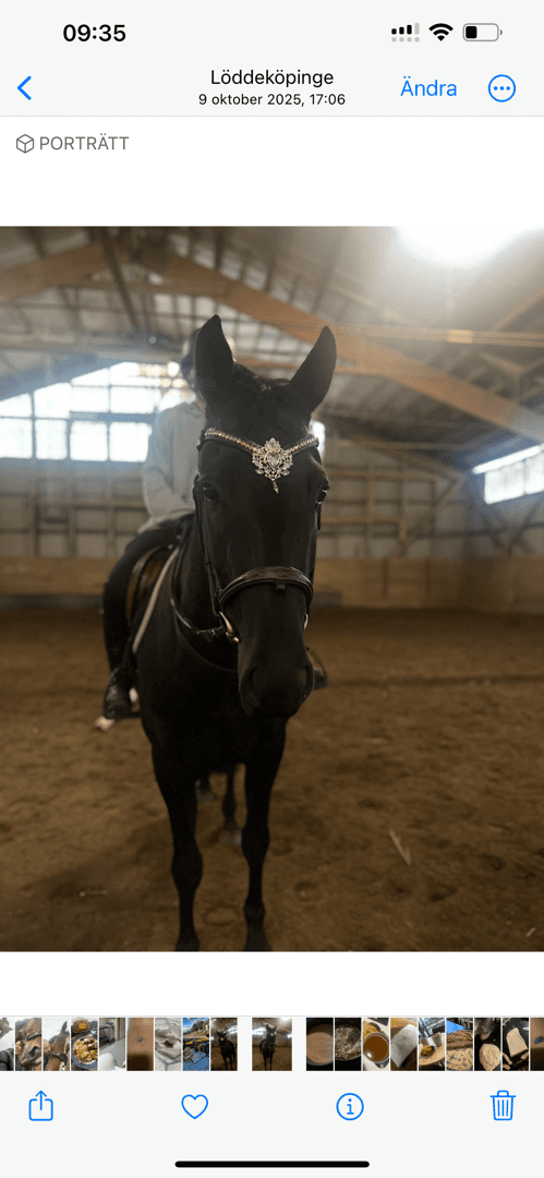 Bild 1 av Ask for Devotion