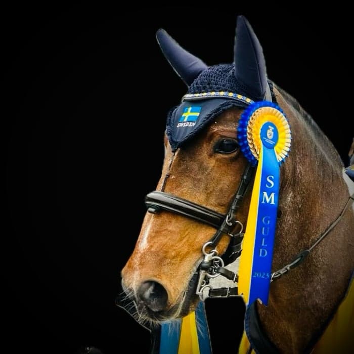 Media 1 of Lavally Sam