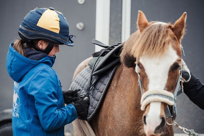 Media 2 av Prova galoppträning med din ponny på Göteborg Galopp!