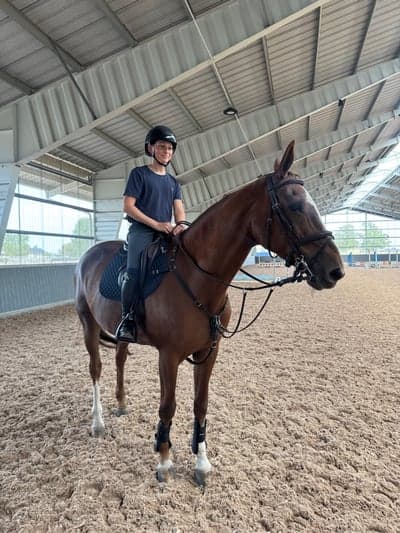 Post 9 of Belgian Warmblood with title Nina Adam och Nicco efter träning 
