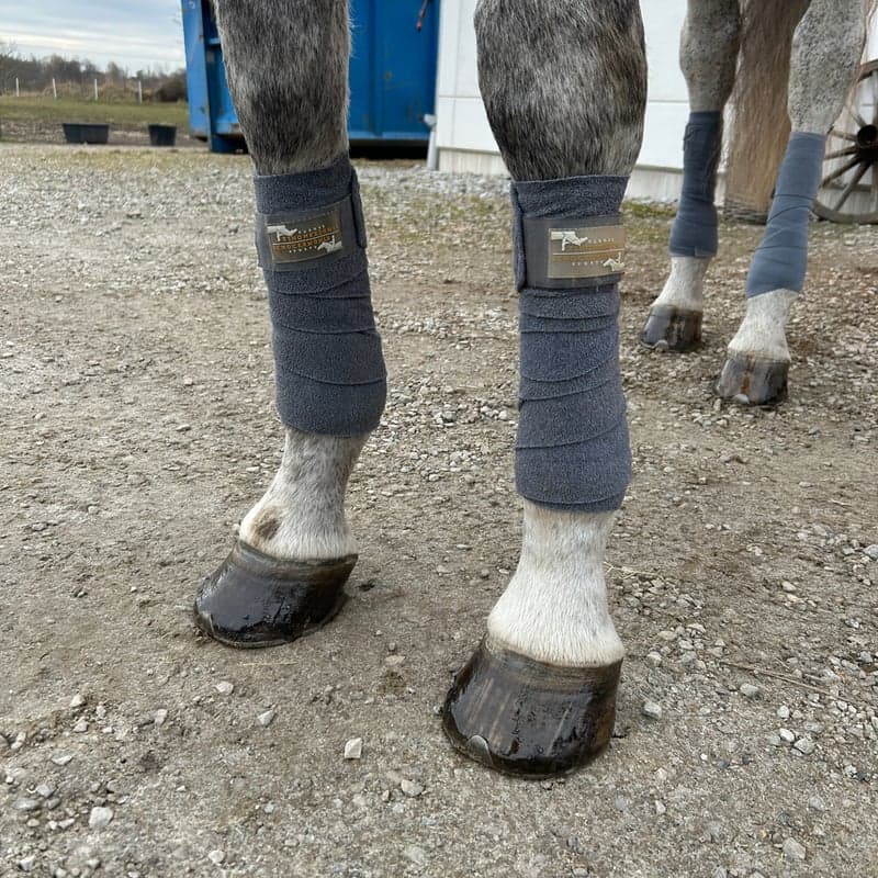 Bild 2 av Grå lindor i fint skick schockemöhle