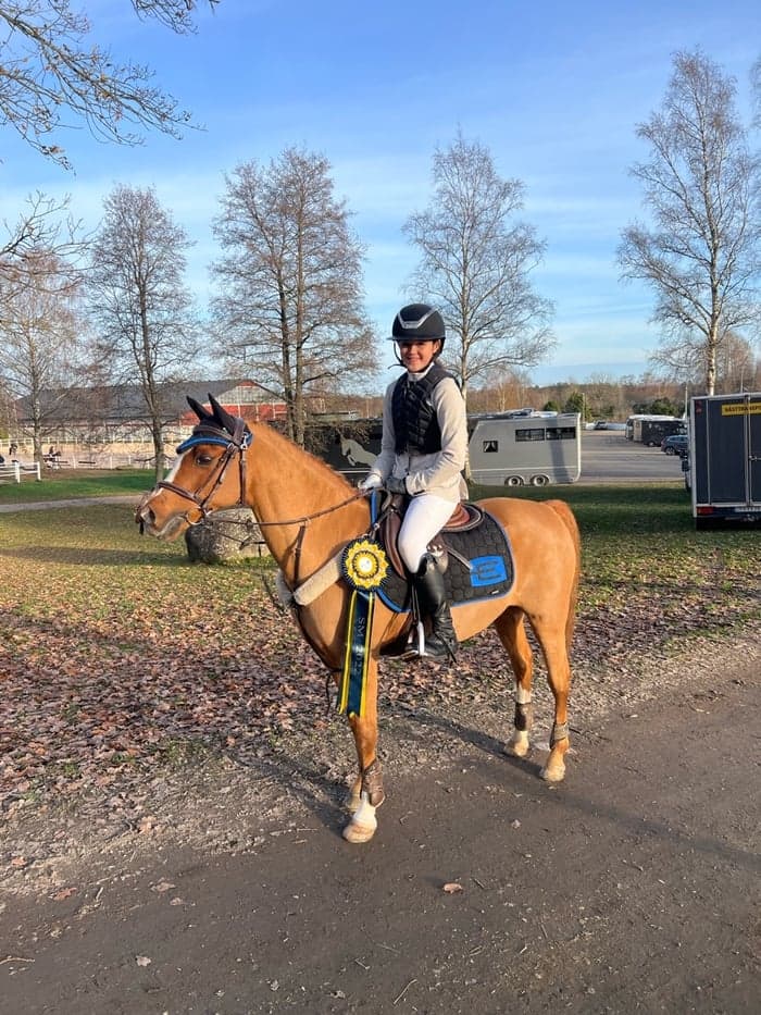 Media 1 of Laithehill neptune