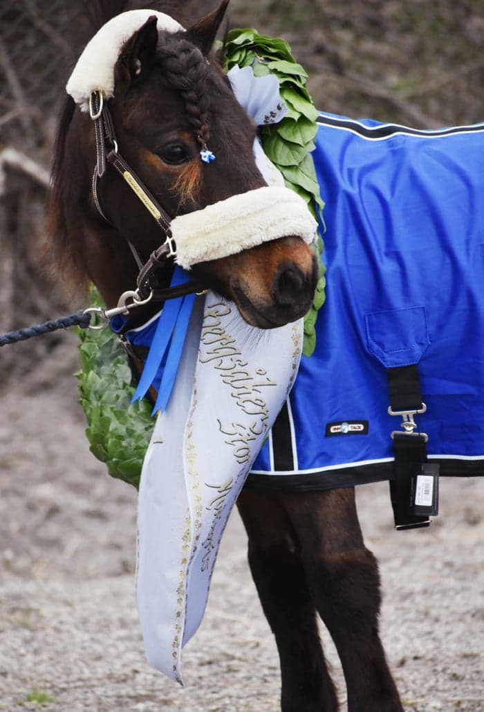 Media 10 av Månstorps Tuffing