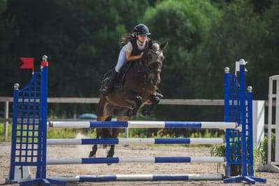 Inlägg 14 av Allround med titeln Hopptävling 