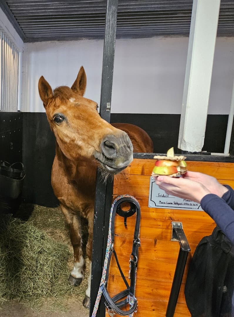 Bild 1 av Åstratorps Marimba