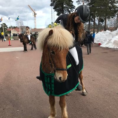 Þytur från Stummelbol