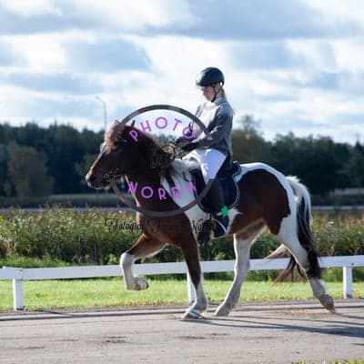 Skjóni frá hjallanesi 1