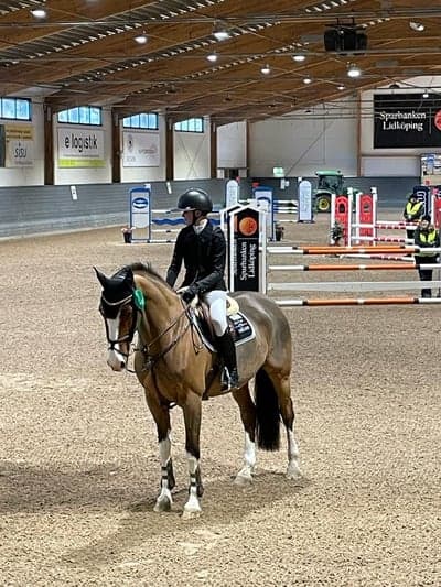 Inlägg 252 av Hoppning med titeln Bra start på säsongen!💞🫶🏼