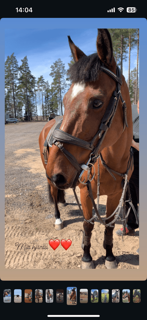 Bild 3 av Shine bright