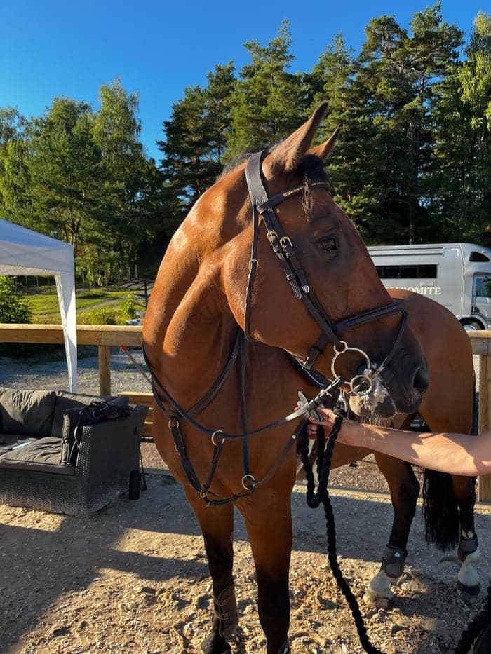 Media 1 of Sweet Emotion