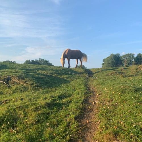 Profile picture of Molly Jonasson