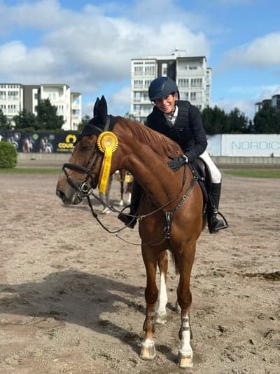 Post 10 of Belgian Warmblood with title SM-brons för Nicco och Adam ⭐️