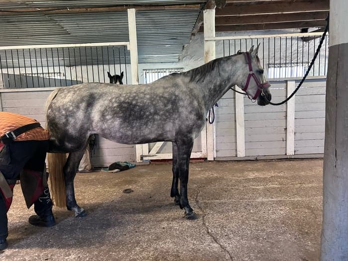 Media 1 of Gryets Sasha