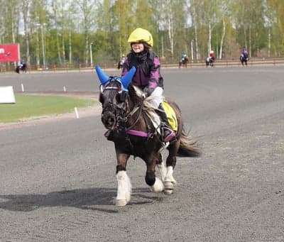 Inlägg 25 av Monté med titeln Monte 