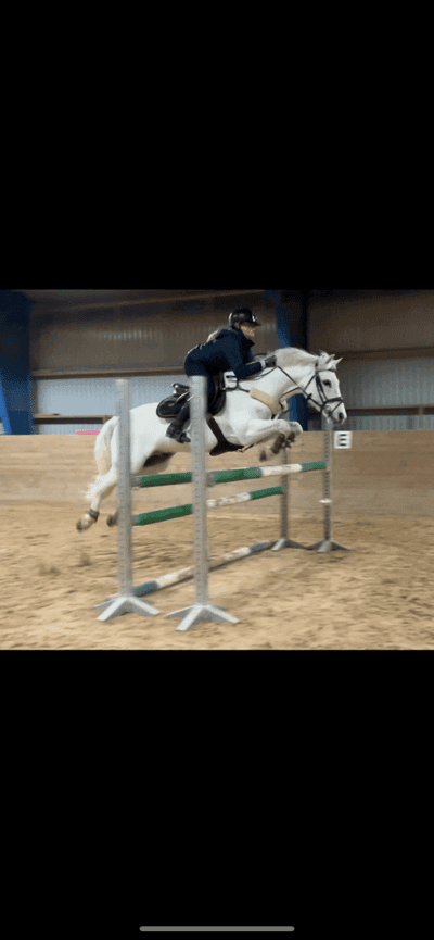 Inlägg 66 av Allround