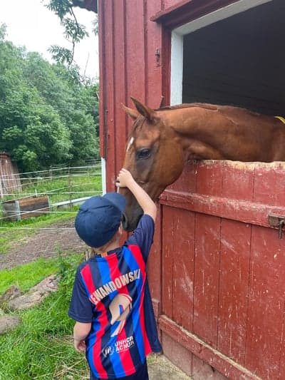 Inlägg 97 av Allround med titeln Polarna ❤️