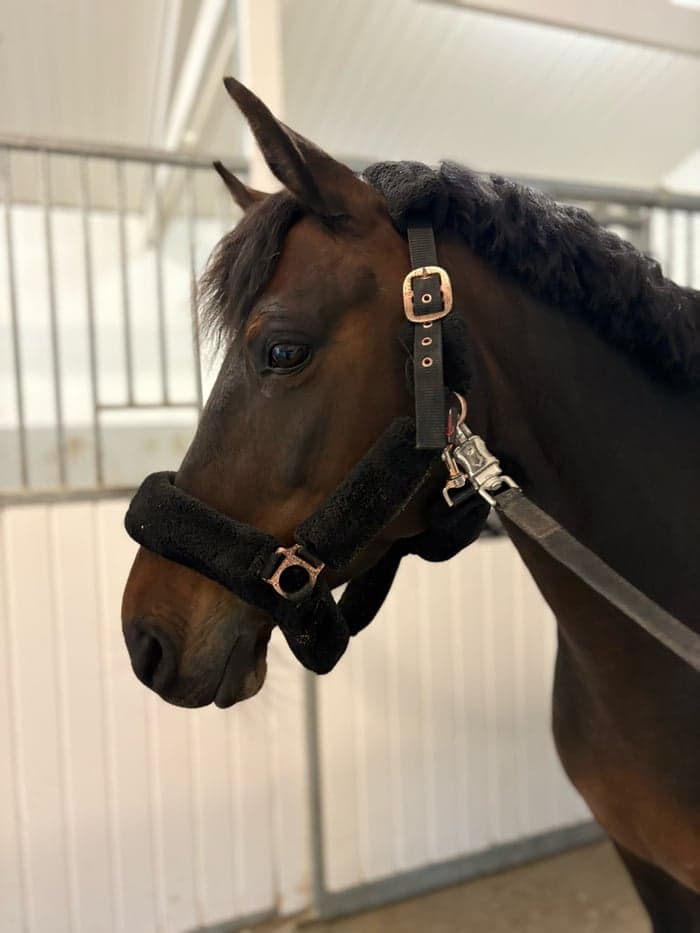 Media 1 av Top dance with me