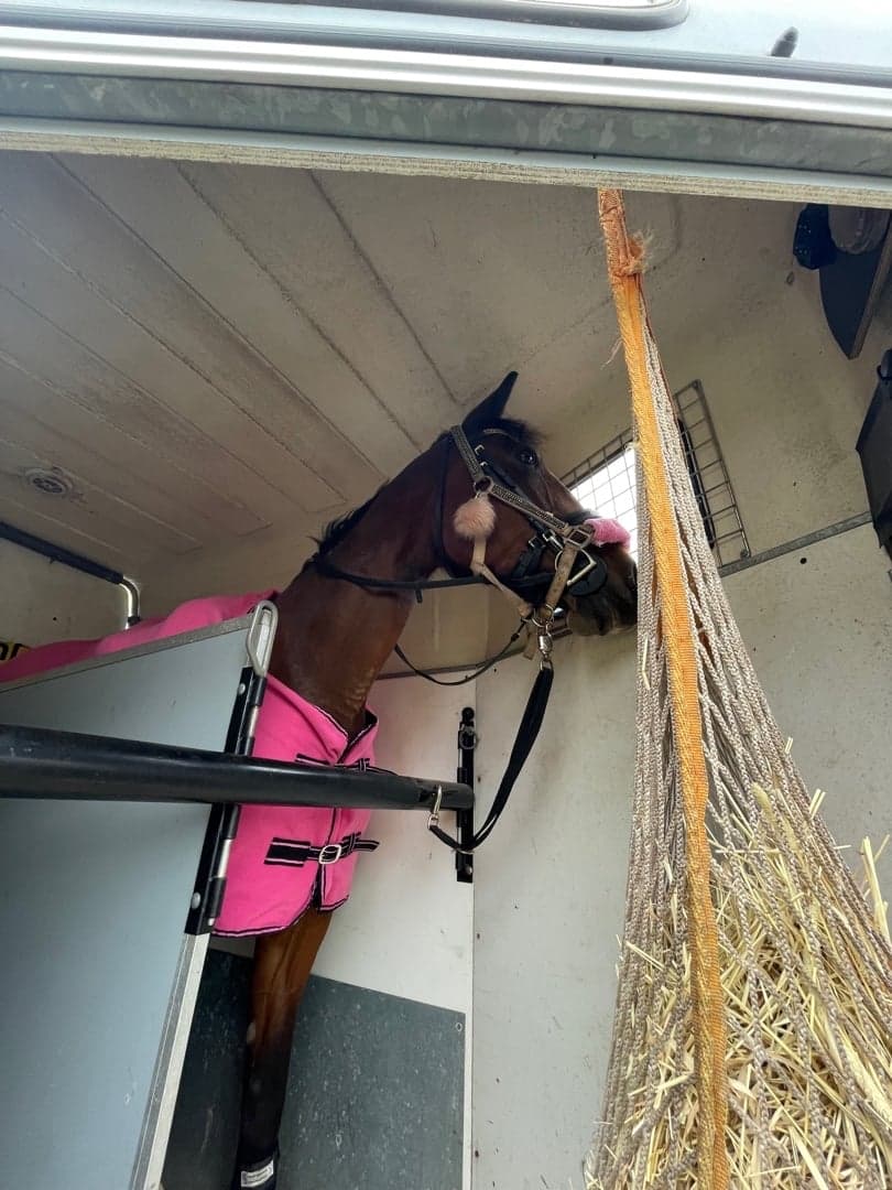 Bild 1 av Damita Fri