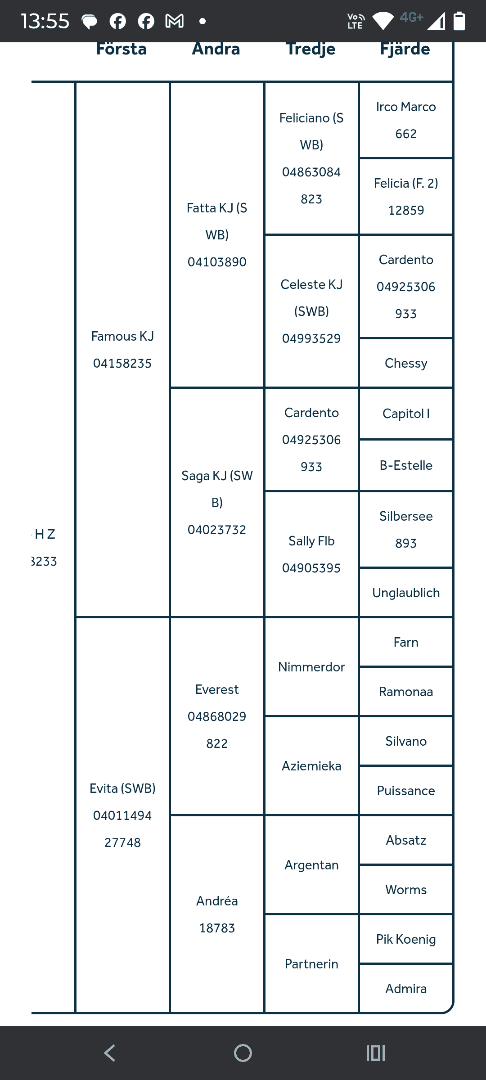 Bild av Sveriges snyggaste 5-åring med världens största personlighet?