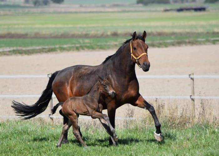 Media 3 av Für Dich