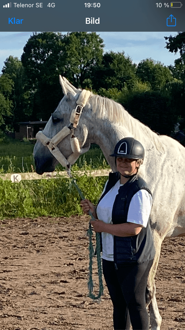 Media 1 av King Shaka