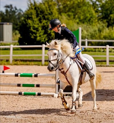 Inlägg 394 av Hoppning med titeln Vinst i grevagården❤️